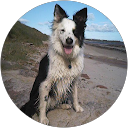 Yvonne Norris Avatar
